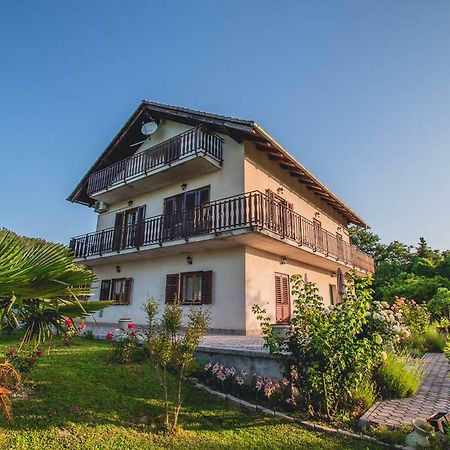 Farm Stay Synergia - Hiden Treasure Pazin Buitenkant foto