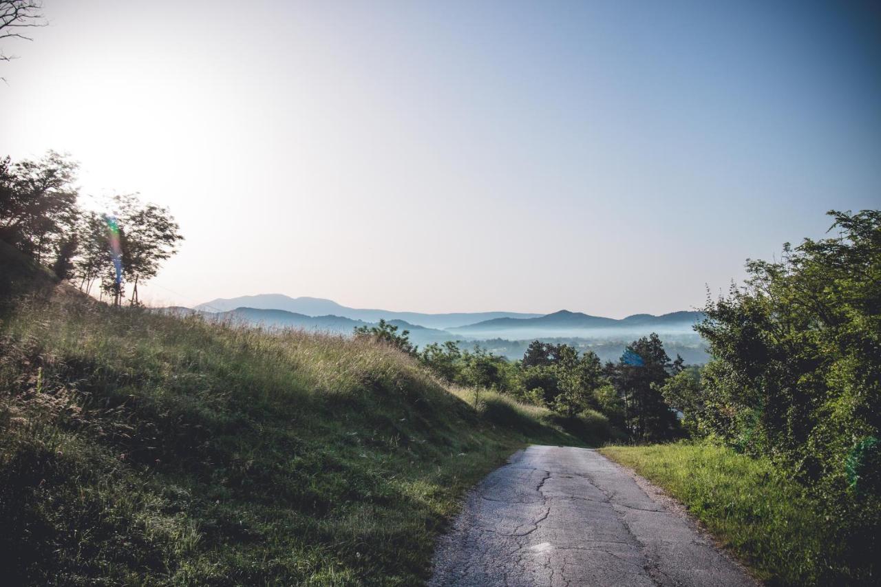 Farm Stay Synergia - Hiden Treasure Pazin Buitenkant foto