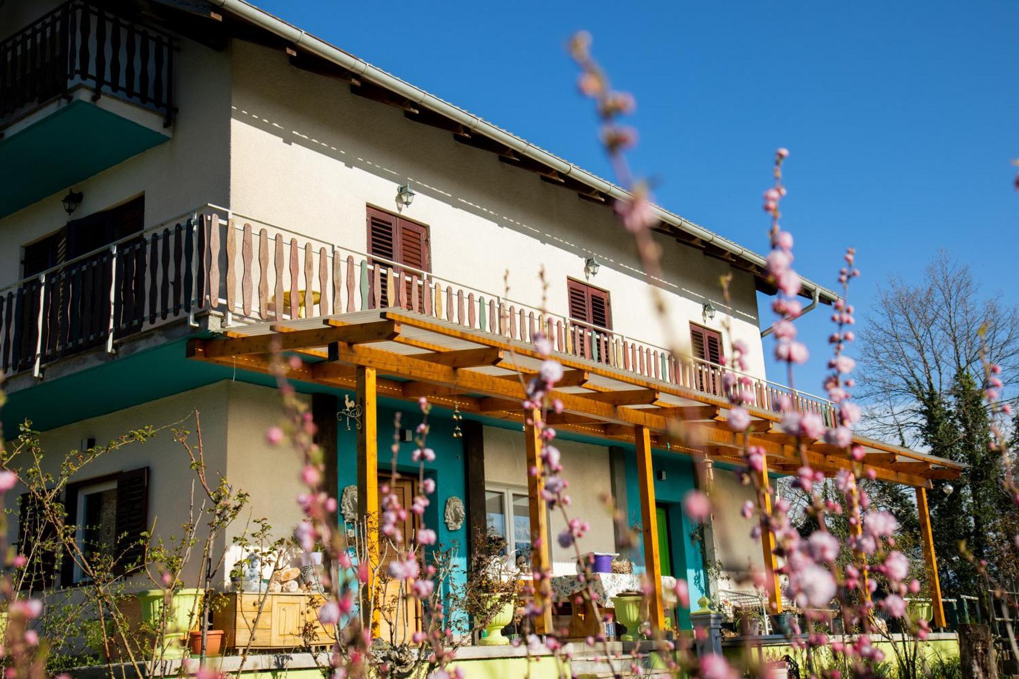 Farm Stay Synergia - Hiden Treasure Pazin Buitenkant foto
